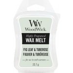 WoodWick vonný vosk Fig Leaf & Tuberose 22,7 g – Zboží Dáma