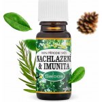 Saloos Esenciální olej Nachlazení & Imunita 10 ml – Zboží Dáma