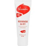 Aromatica Kosmín Bylinná regenerační mast na rty 25 ml – Zboží Dáma