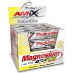 Amix Magnesium Liquid Plus 20 x 25 ml pineapple – Hledejceny.cz