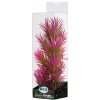Akvarijní rostlina I--Z ATG Premium rostlina střední 26-32 cm 438