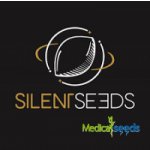 Silent Seeds B-45 semena neobsahují THC 3 ks – Hledejceny.cz