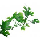  Lucky Reptile Jungle Vine Gape Leaf Vine 200 cm