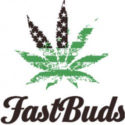 420 Fast Buds Forbidden Runtz AUTO semena neobsahují THC 1 ks