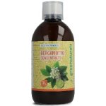 Greenatural Koncentrovaná Bergamotová šťáva 500 ml – Hledejceny.cz