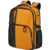 Brašna na notebook Batoh Samsonite Biz2Go 142144/4702 Radiant Yellow 15,6"