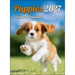 Štěňátka nástěnný 2027 – Hledejceny.cz