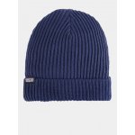Patagonia Fishermans Rolled beanie Navy Blue – Hledejceny.cz