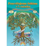 Český jazyk 7.r. ZŠ - pracovní sešit Čtení s porozuměním – Hledejceny.cz