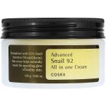 COSRX Advanced Snail 92 All In One Cream 100 g – Hledejceny.cz