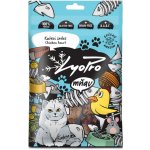 LyoPro CAT Kuřecí srdce 50 g – Zbozi.Blesk.cz
