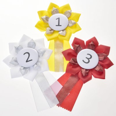 Set Hobby Horse Kokarda – HobbyKompas.cz