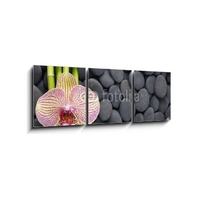 Obraz 3D třídílný - 150 x 50 cm - Gorgeous orchid and thin bamboo grove on pebbles Nádherná orchidej a tenká bambusová háj na oblázcích – Zboží Mobilmania