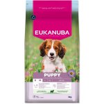 Eukanuba Puppy Small & Medium Lamb 12 kg – Hledejceny.cz