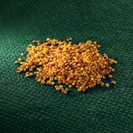 AROS jetel plazivý – Hledejceny.cz