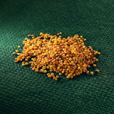 AROS jetel plazivý – Hledejceny.cz