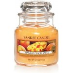 Yankee Candle Mango Peach Salsa 104 g – Hledejceny.cz