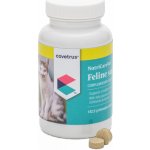Covetrus Essentials NutriCareVet Immune support Feline 190 tbl – Hledejceny.cz