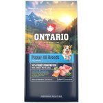 Ontario Puppy & Junior All Breeds Monoprotein Turkey & Sweet Potatoes 20 kg – Hledejceny.cz