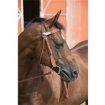 Equi theme Westernová uzdečka Two Tone hnědá – Zboží Dáma