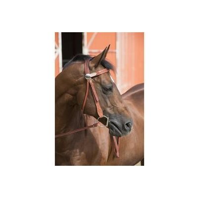 Equi theme Westernová uzdečka Two Tone hnědá – Zboží Dáma