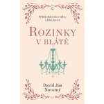 Rozinky v blátě – Hledejceny.cz