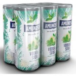 Amundsen + Soda bezinka 6% 6 x 250 ml (plech) – Zboží Dáma