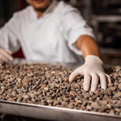 Pražené kakaové boby výběrová odrůda Criollo - 1 kg – Hledejceny.cz