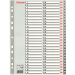 Roztřiďovač plastový Esselte A4, 1-54, šedý – Zboží Živě