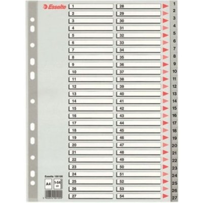 Roztřiďovač plastový Esselte A4, 1-54, šedý – Zboží Živě