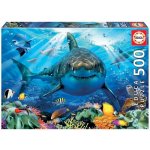 EDUCA Bílý žralok 500 dílků – Zboží Mobilmania