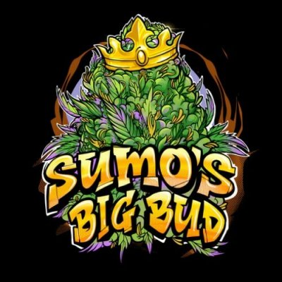 Sumo Seeds Sumo's Big Bud semena neobsahují THC 3 ks – Zboží Mobilmania
