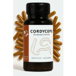 LifeChi Housenice čínská Cordyceps sinensis extrakt 300 mg 100 rostlinných kapslí – Hledejceny.cz