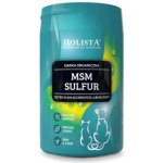 Holista MSM Sulfur doplňky stravy pro psy a kočky 250 g – Hledejceny.cz