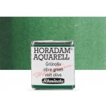 Schmincke Horadam akvarelové barvy v poloviční pánvičce 519 phthalo zelená – Hledejceny.cz