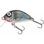 Salmo Tiny 3 cm Floating Holographic Grey Shiner – Hledejceny.cz