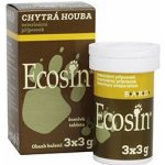 Ecosin Chytrá houba 3 x 3 g – Zboží Dáma