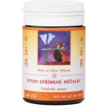 TCM Herbs Hvizd stříbrné píšťalky 100 tablet – Hledejceny.cz
