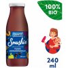 Salvest Ovocné smoothie s černým rybízem a švestkami 240 ml