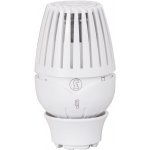 Giacomini R460 – HobbyKompas.cz