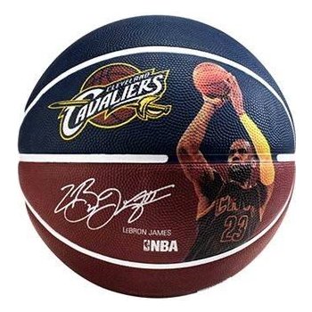 Spalding NBA player ball Lebron James