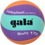 Gala Volleyball 10 BV5551S – Zboží Mobilmania