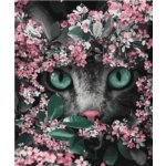 Norimpex Kotě v květinách 30 × 40 cm – Sleviste.cz