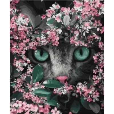Norimpex Kotě v květinách 30 × 40 cm – Sleviste.cz