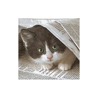 Ubrousek 33xx3cm Kotě – Zboží Dáma