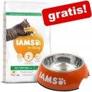 Krmivo pro kočky Iams for Vitality Kitten Fresh Chicken 10 kg