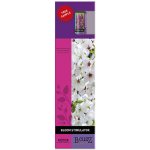 Atami B´cuzz Bloom Stimulator 1 l – Zbozi.Blesk.cz