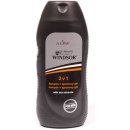 Windsor Men sprchový gel 400 ml