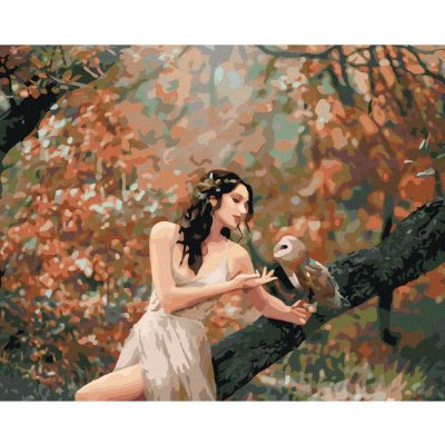 Zuty Malování podle čísel POHÁDKOVÁ DÍVKA SE SOVOU V LESE – Hledejceny.cz