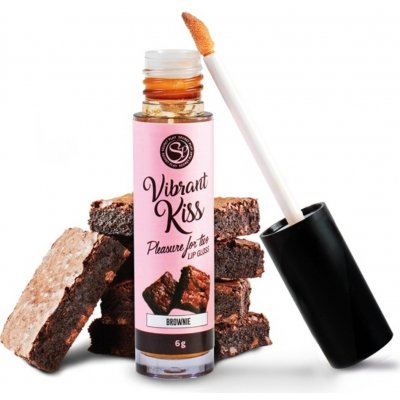Secret Play Vibrant Kiss Lip Gloss Brownie 6 g – Zboží Dáma